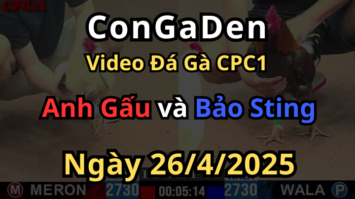 Bảo Sting bị thái mỹ đá sấp mặt CPC1 26/4/2025