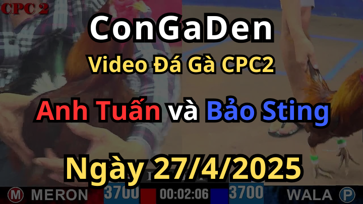 Idol Bảo Sting nhá nhẹ con hàng làm anh em sợ hãi CPC2 27/4/2025