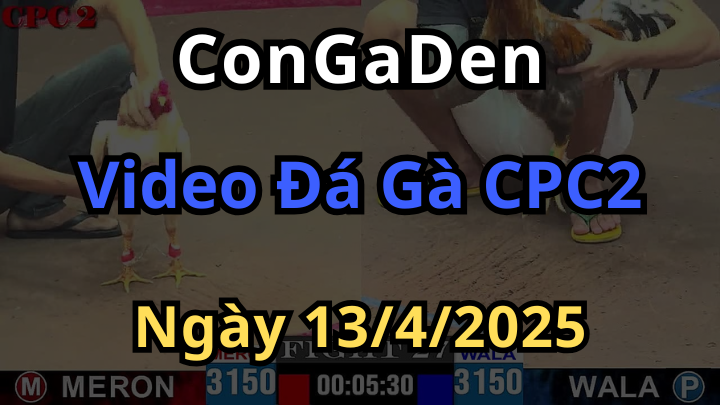 Xem lại Đá Gà Trực Tiếp Thomo CPC2 ngày 13/4/2025