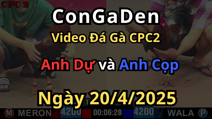 Độc cước định giang sơn CPC2 20/4/2025