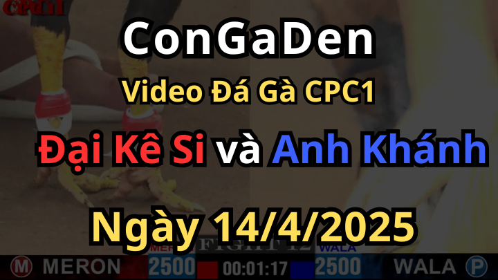 Chuối mỹ bị điều Việt tiễn qua mỹ quá dễ dàng CPC1 14/4/2025