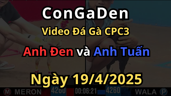 Anh Đen quá xui tướng ngon nhưng ăn 1 chân thì ngủm CPC3 19/4/2025