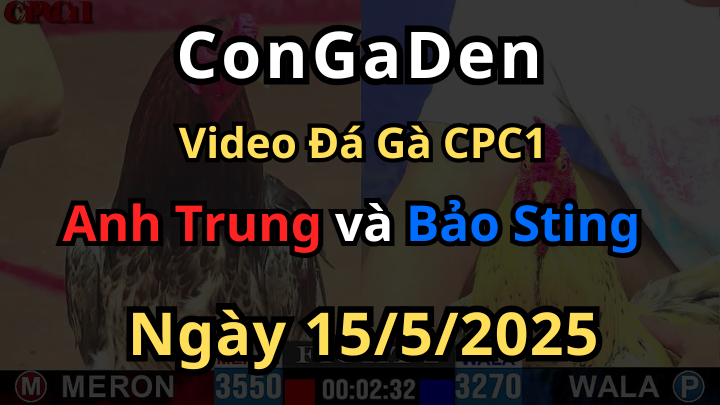 Idol Bảo Sting ra quân ở giải C1 15/5/2025 hôm nay