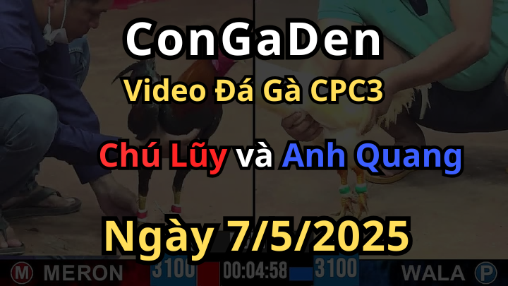 Mở bát siêu giải vô địch CPC3 ngày 7/5/2025 cực hấp dẫn